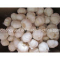 Chinese White Garlic with Carton Packing